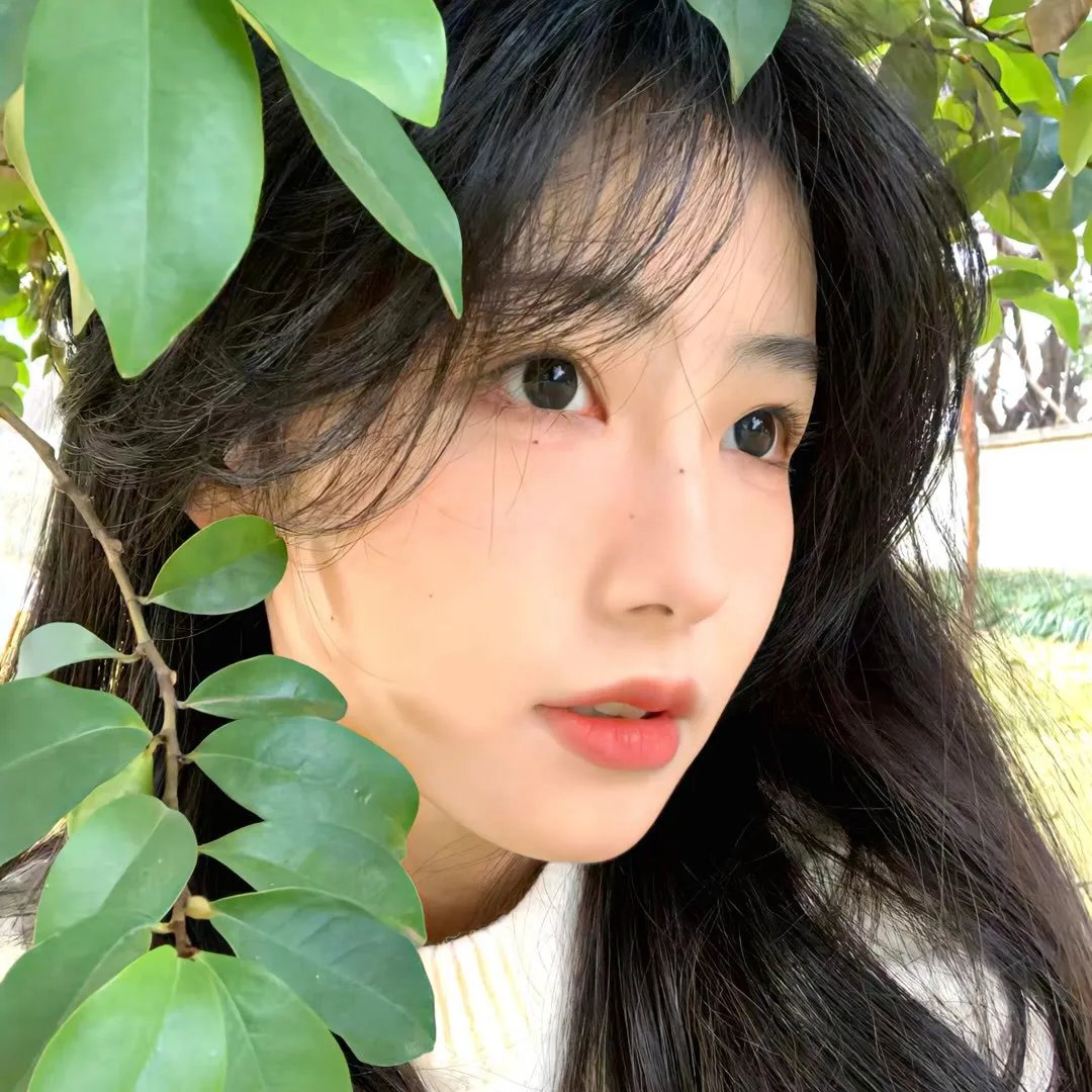 鼹鼠之歌